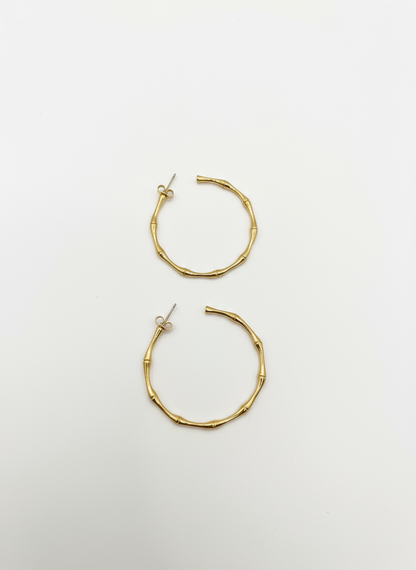 Golden Bambū Bold Hoops
