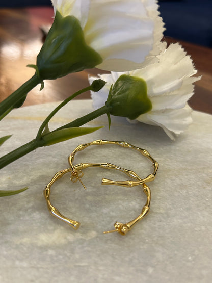Golden Bambū Bold Hoops