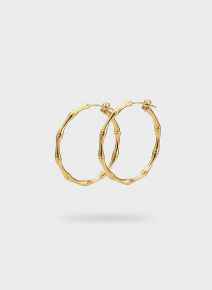 Golden Bambū Bold Hoops